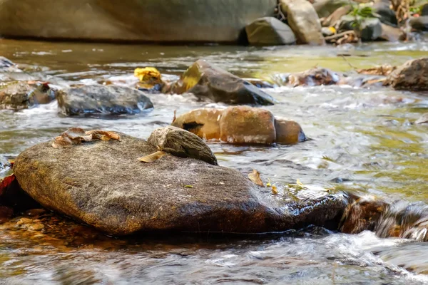 Mountain stream in Khao Sok National Park, Surat Thani Province, Thailand. — Stock Photo, Image