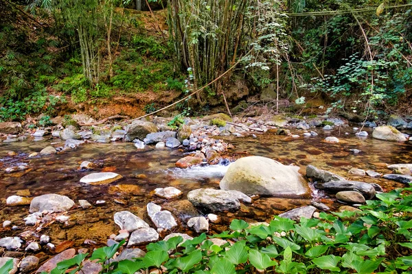 Fluxo de montanha em uma floresta — Fotografia de Stock