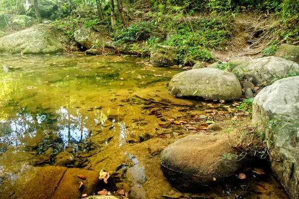 Fluxo de montanha em uma floresta — Fotografia de Stock