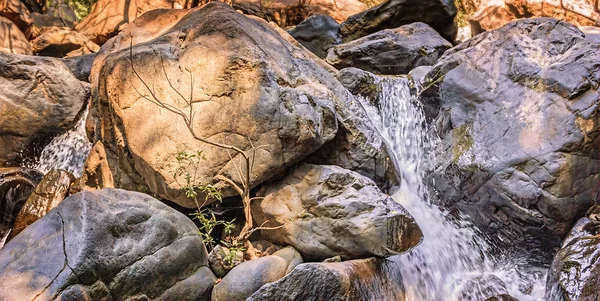 Petite cascade relaxante avec arbres et rochers en montagne — Photo