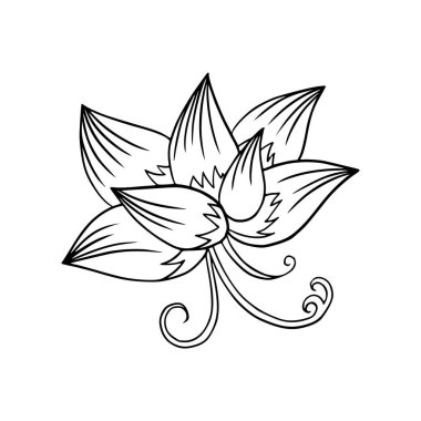 Dekoratif çiçek karalaması. Vektör eli botanik dersinde. Bahar bitkisi tasarımı. Beyazda izole edilmiş.