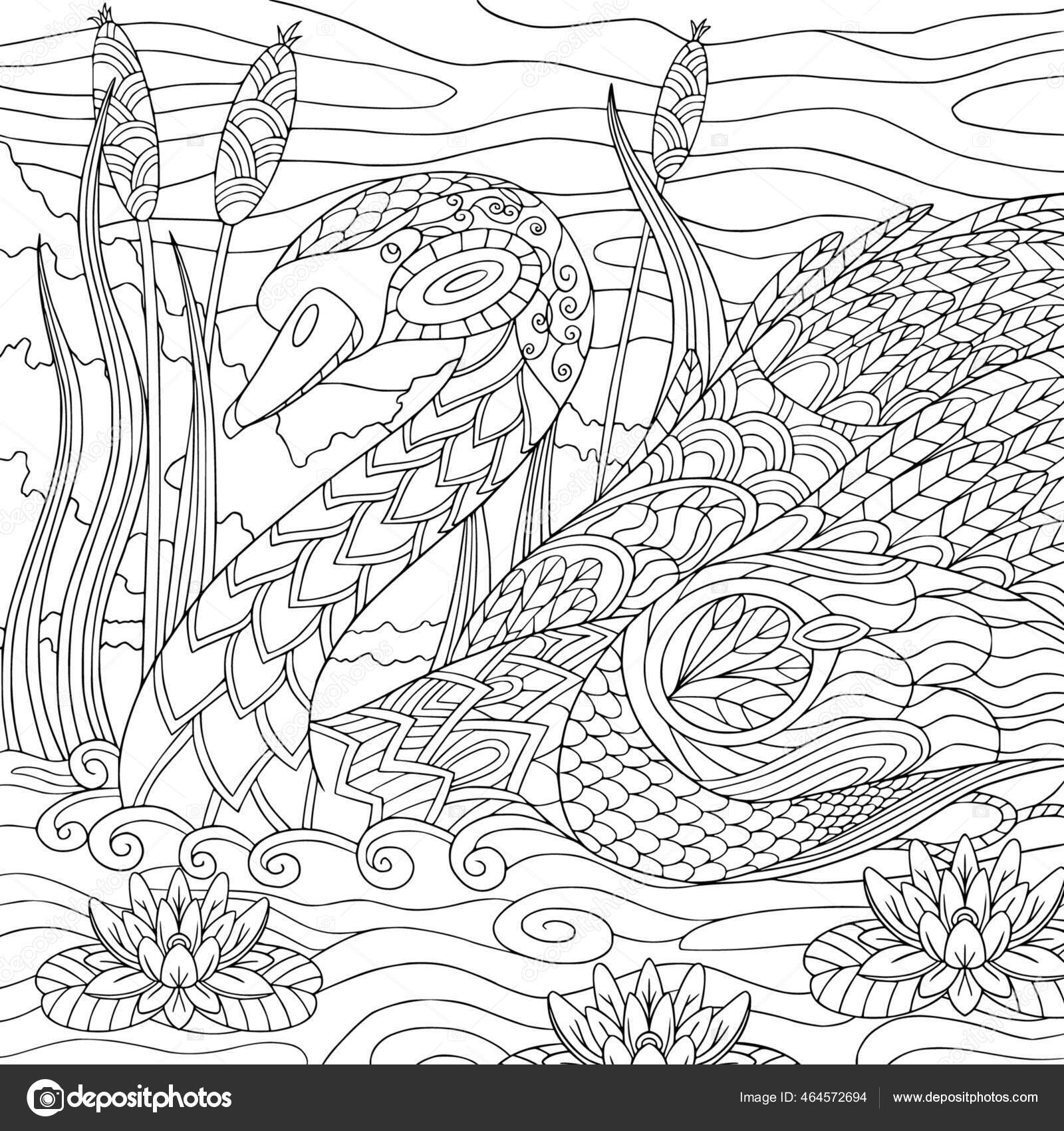 Cattails Coloring Pages