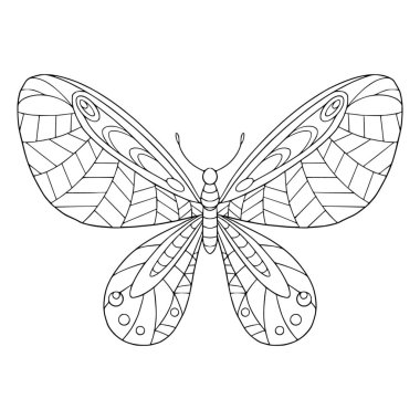 Süslü kanat boyama sayfası olan güzel kelebek. Yetişkinler için boyama kitabı için karalama ve zenkartal elementli vektör çizimi. Güzel bahçe böceği..