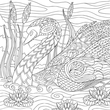 Su nilüferinin ve kuyruğun yanında güzel bir kuğu. Zentangle elementleri olan yetişkinler için boyama kitabı sayfası. Nehirdeki vahşi kuşla birlikte doğanın ana hatları..