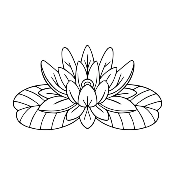 Векторные Каракули Водяной Лилии Цветочный Декоративный Элемент Логотипа Иконки Печати — стоковый вектор