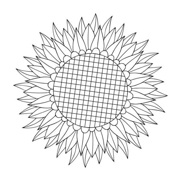 向日葵花线艺术 Doodle植物学农业 为成年人的书页上涂上斑纹元素 — 图库矢量图片