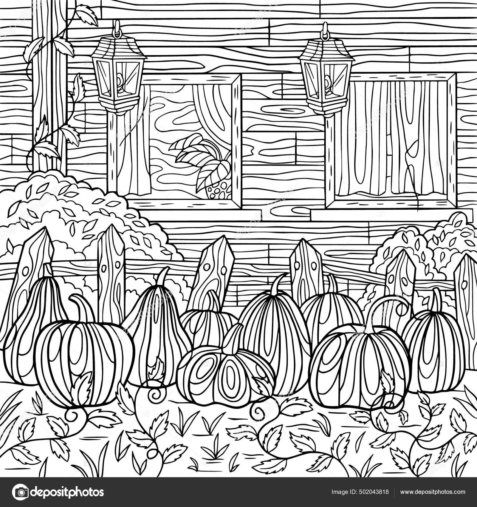 Image vectorielle Page Coloriage Scène Ferme Récolte Citrouille Pour Adulte  Automne Composition par ©daniella.belaya - 502043818, image size:1600x1700