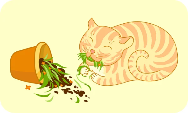Рыжая кошка, которая разбила цветочный горшок и ест траву — стоковый вектор