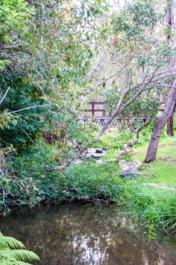 Araluen Botanik Parkı, Batı Avustralya, Perth 'in yaklaşık 30 kilometre güneyindeki Darling Sıradağları' nda korunaklı bir vadide yer almaktadır. Botanik Parkı yaklaşık 59 hektarlık bir alanı kaplıyor.