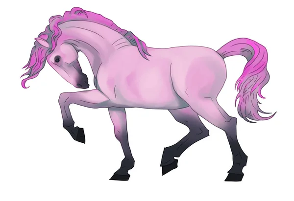 Dessin Couleur Cheval Main Image Réaliste Clip Art Multicolore Rose — Photo