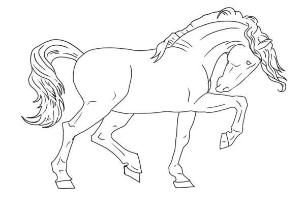 Сказочный Животный Рисунок Вручную Гравировка Лошади Клип Арта Продукте Современный — стоковое фото