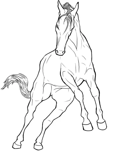 素晴らしい動物の絵を手描き 馬のクリップアートを製品に彫刻します 現代的なデザイン 若者はストレスを着色するために空白の画像を印刷します 脚のある馬の線形画像です — ストック写真