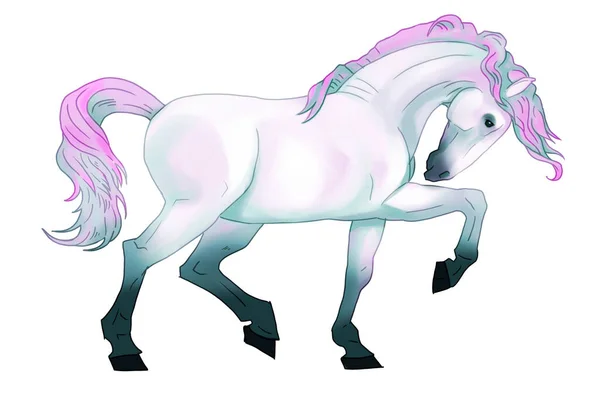 Barevná Kresba Koně Ručně Realistický Obrázek Klip Art Pestrobarevný Růžový — Stock fotografie