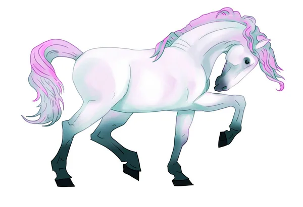 Dessin Couleur Cheval Main Image Réaliste Clip Art Multicolore Rose — Photo