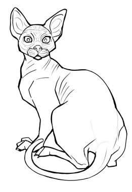 Çizim komik Sphynx kedi doğrusal çizimi. Kızgın, canı sıkkın kel bir kedi. Boyama kitabı sayfası için satır sanatı şablonu. Yazdırma beyaz arkaplanda izole edildi. evcil hayvan çizimi
