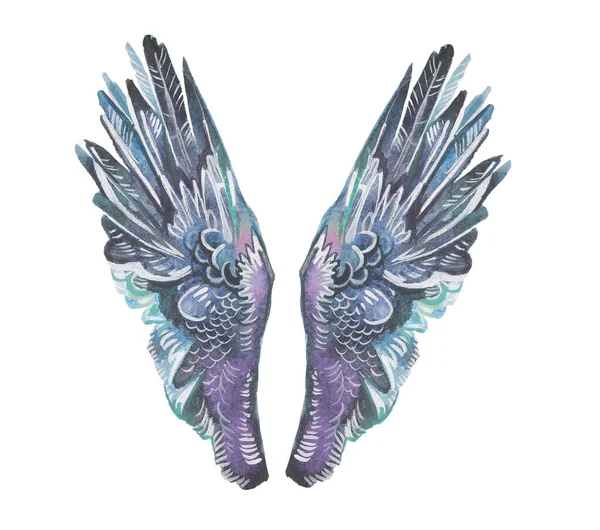 Suluboya melek kanatları çiziyor. Clipart kuş kanatlarının farklı açıları var. Özgürlük ya da yaratıcılık kavramı. El yapımı pegasus, kuş, melek, papağan, muhteşem hayali yaratık, periler.