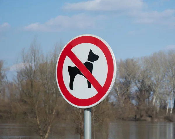 Никаких собак не допускается знак — стоковое фото