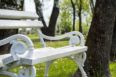 Beyaz demir park bankında