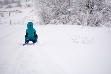 Bir kızak arkadan fotoğraflandı, evlat.
