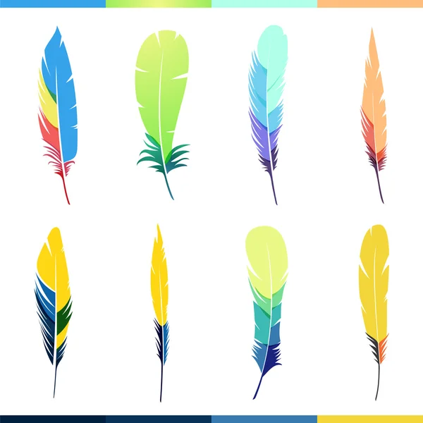 Vector colored feathers set. — Stock Vector