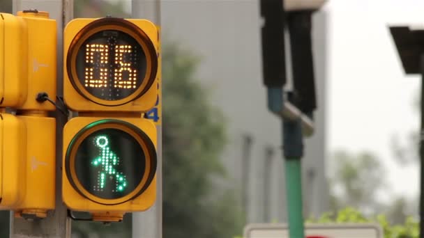 Mexico-stad, Mexico-Circa juni, 2014: ampul teken aan mensen die willen oversteken van de straat. — Stockvideo