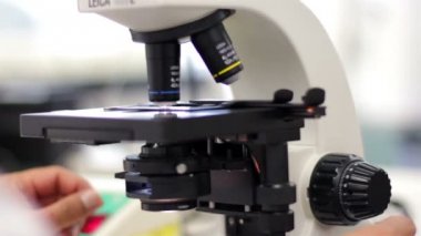 Meksika, 2014: Close Up-el atış. Bir laboratuvar alt tarafından analiz ediliyor kan testi tüpler.