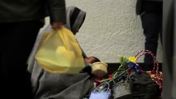 Мехико, Мексика - август 2014 г.: полный обстрел. Женщина просит милостыню — стоковое видео