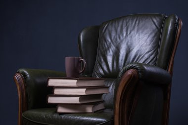 Duvarın önünde kitaplarla yeşil deri koltuk