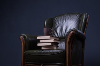 Duvarın önünde kitaplarla yeşil deri koltuk