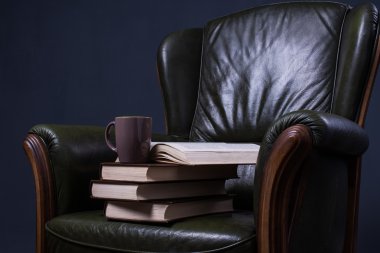 Duvarın önünde kitaplarla yeşil deri koltuk