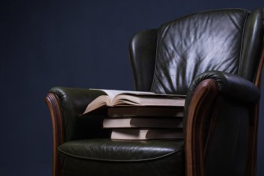 Duvarın önünde kitaplarla yeşil deri koltuk