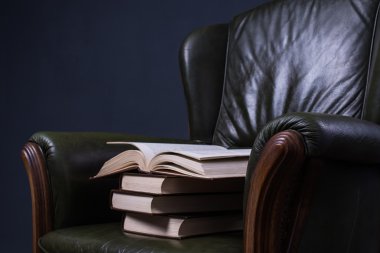 Duvarın önünde kitaplarla yeşil deri koltuk