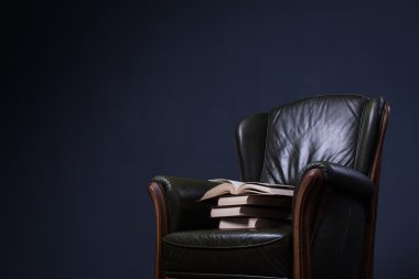 Duvarın önünde kitaplarla yeşil deri koltuk