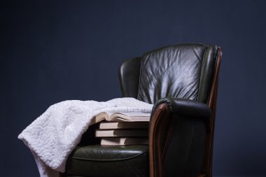 Duvarın önünde kitaplarla yeşil deri koltuk
