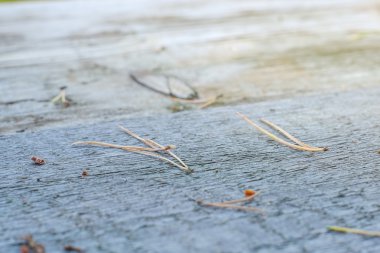 Eski ahşap masa açık havada, Dof yüzeyine