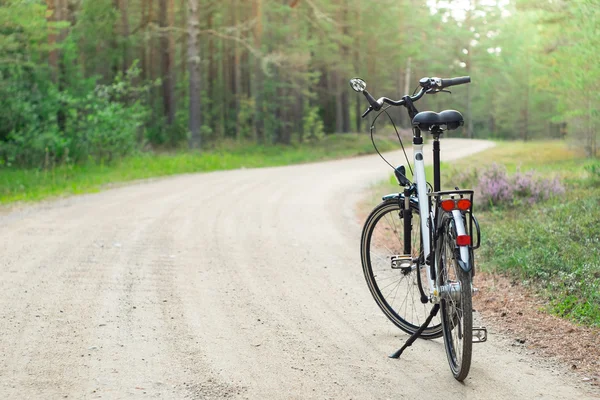 Обратная сторона велосипеда в лесу, DOF — стоковое фото
