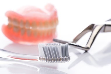 Diş fırçası ve beyaz arka plan üzerinde Forseps ile diş modeli