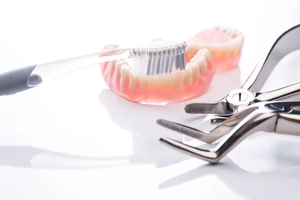 Tanden model met tandenborstel en pincet op witte achtergrond — Stockfoto