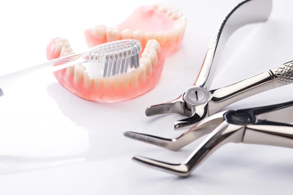 Modello di denti con spazzolino da denti e pinza su sfondo bianco — Foto Stock