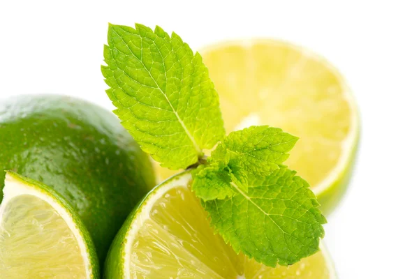 Whole and sliced fresh limes with mint on on white, DOF Stock Picture