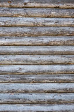 duvar eski günlükleri