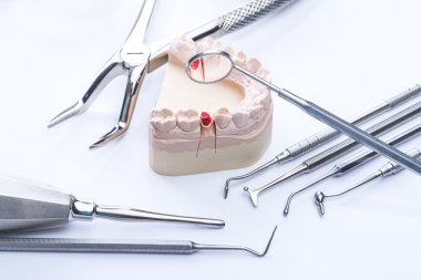 Diş kalıp ve beyaz tablo temel diş araçları