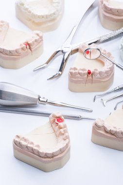 Diş kalıp ve beyaz tablo temel diş araçları