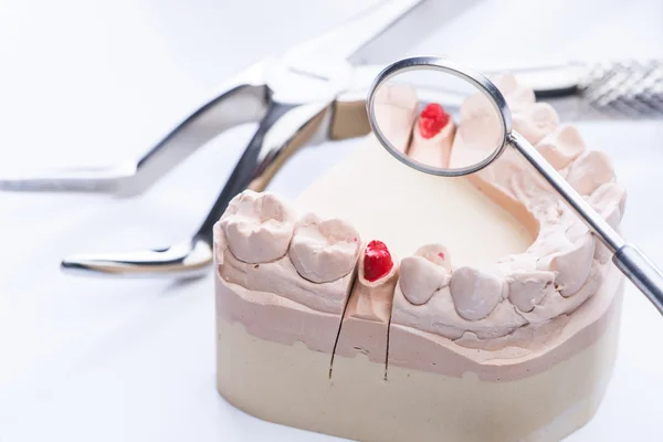 Форма зубов и основные стоматологические инструменты на белом столе — стоковое фото