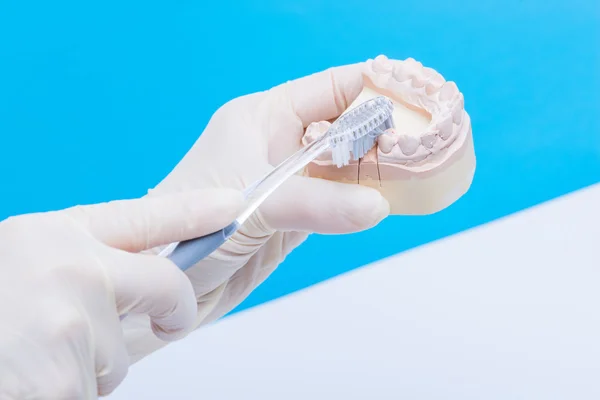 Diş hekimi nasıl dişleri temizlemek için gösterir — Stok fotoğraf