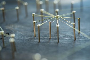 Web grupları ve bekarlar arasındaki bağlantıları gösteren tel,