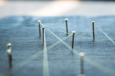 Web grupları ve bekarlar arasındaki bağlantıları gösteren tel,