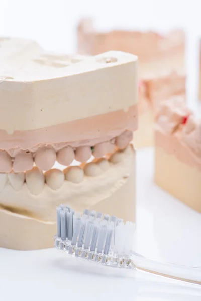 Parlak beyaz masaya diş fırçası ile diş kalıpları — Stok fotoğraf
