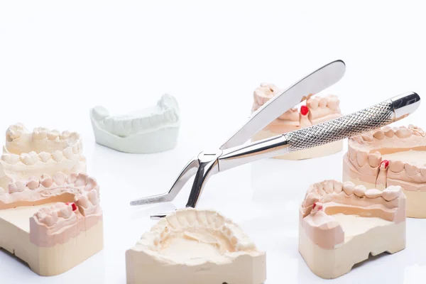 Moldes dentales con herramientas dentales básicas sobre una mesa blanca brillante — Foto de Stock