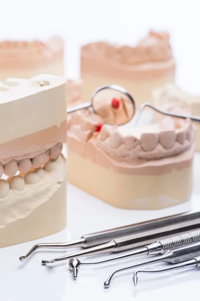 Tanden mallen met tandheelkundige basisinstrumenten op een helder witte tafel — Stockfoto